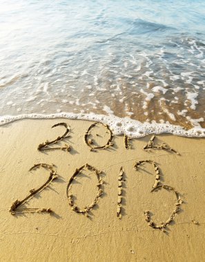 Yeni yıl 2013