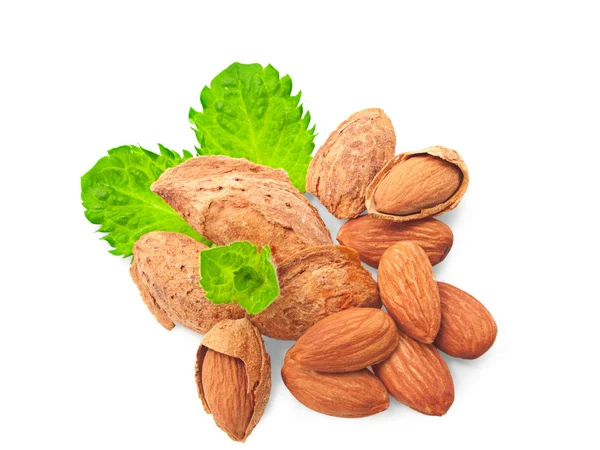 Almonds and a sprig of mint. — Stock Photo, Image
