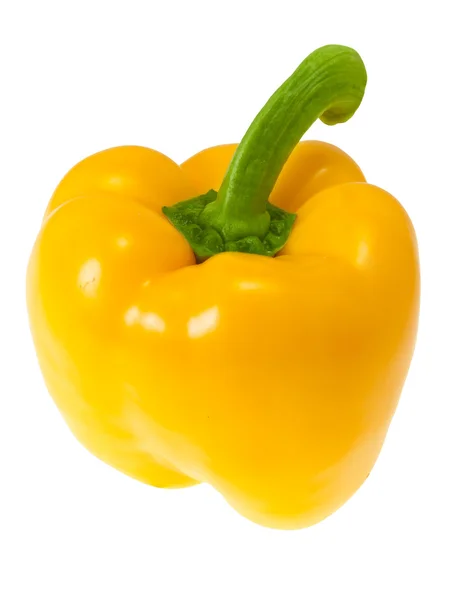 Paprika. — Stockfoto