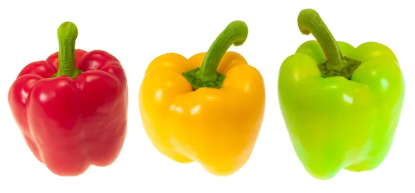 Paprika. — Stockfoto