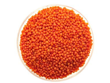 Mercimek kase.