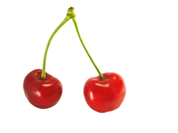 A pair of cherries — Stock Photo, Image