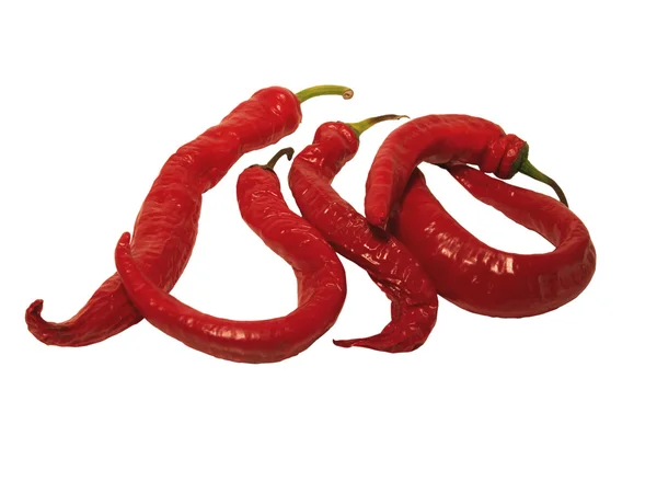 Vörös chili paprika. — Stock Fotó
