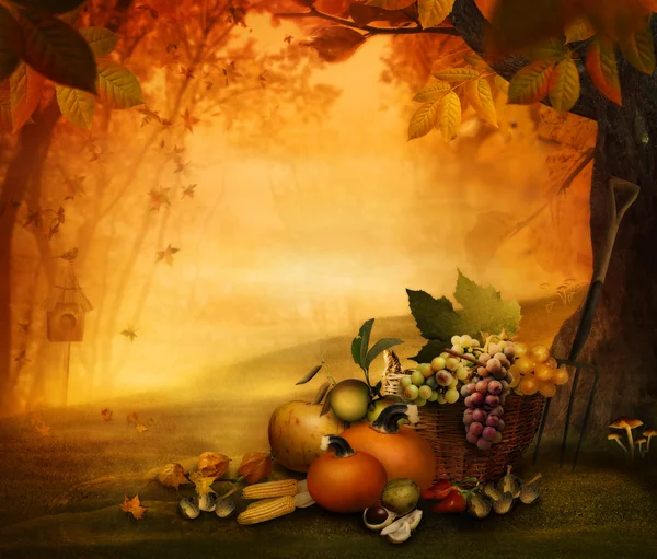 Autunno design - Frutta di stagione — Foto Stock