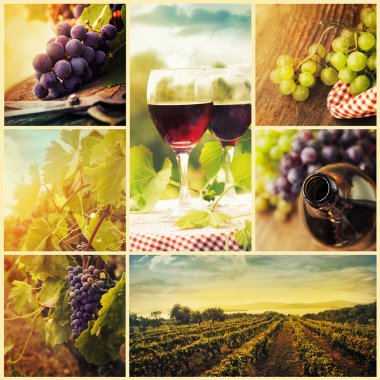 Country wine collage clipart