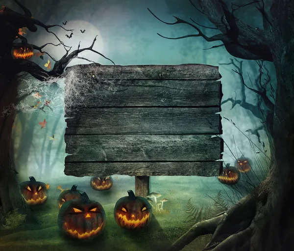 Diseño de Halloween - Calabazas forestales — Foto de Stock