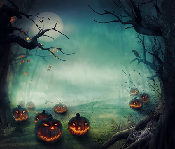 Хэллоуин дизайн - Лесные тыквы — стоковое фото