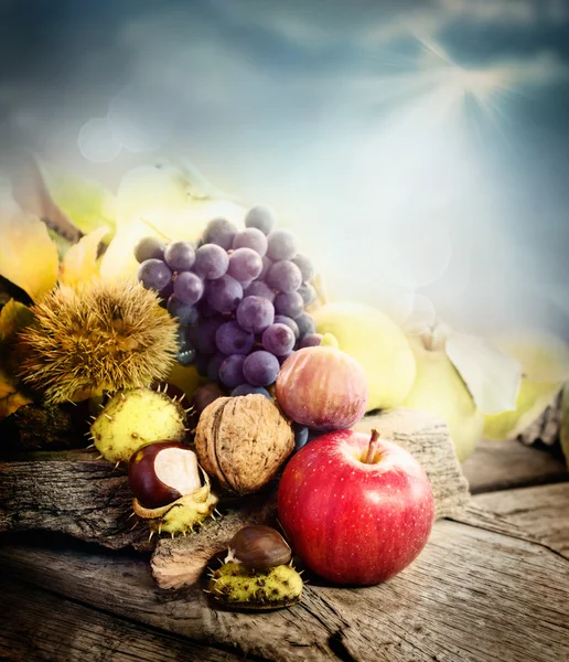 Frutas de outono — Fotografia de Stock