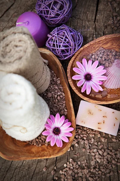 Violeta dayspa natureza conjunto — Fotografia de Stock