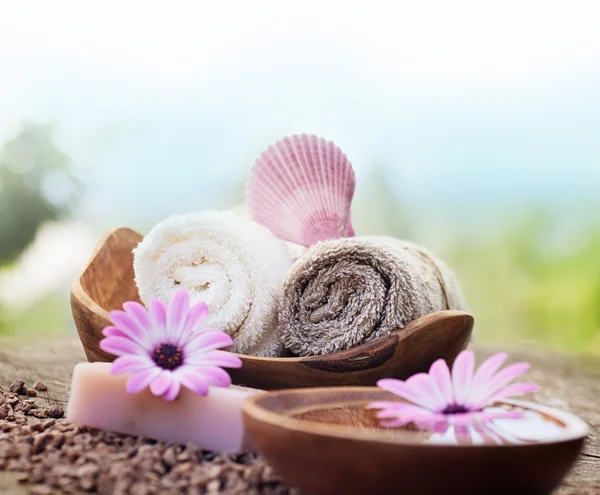 Violet dayspa nature set Royalty Free Stock Photos