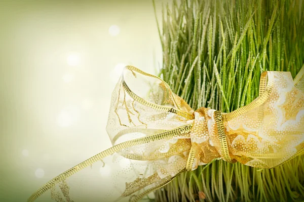 Christmas wheat — Stock Photo, Image