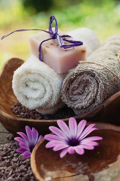 Violett dayspa karaktär set — Stockfoto