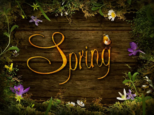 Frühling Design - Blumenkranz — Stockfoto