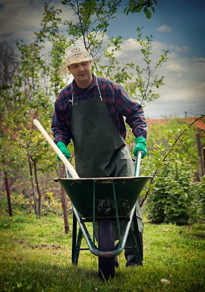 Primavera giardino concetto . — Foto Stock