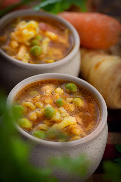 Soupe de légumes — Photo