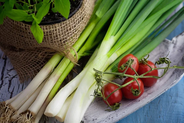 Ingredientes frescos — Fotografia de Stock