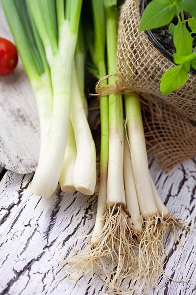 Fresh ingredients — Stock Photo, Image