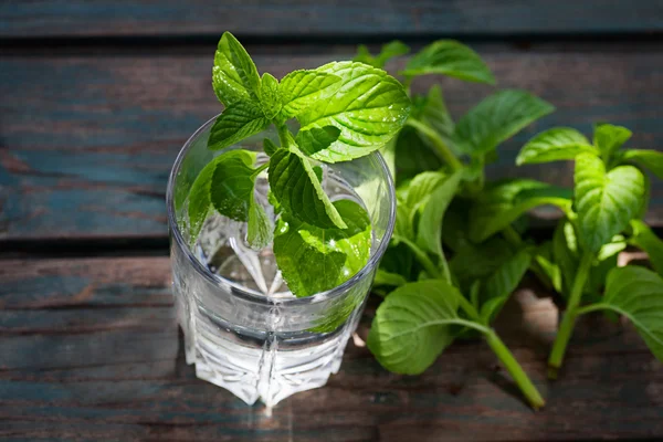 Fizzy drink with mint — Stock Photo, Image