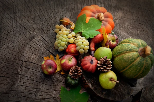 Осінь фруктів — стокове фото