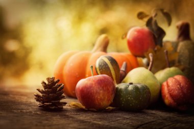 Autumn fruit clipart