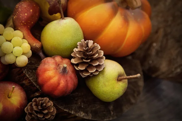 Fruta de otoño — Foto de Stock
