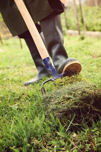 Våren trädgård koncept. — Stockfoto