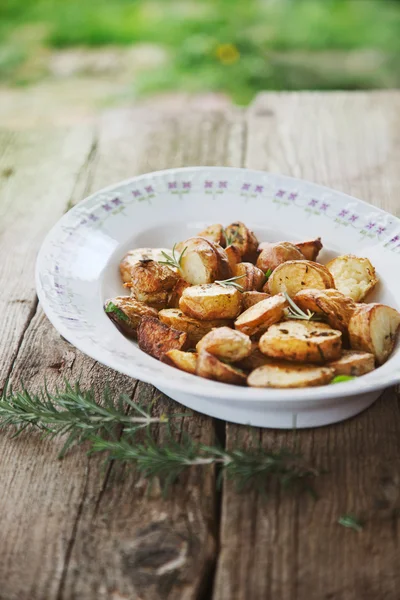 Aardappelen — Stockfoto