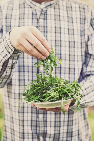 Insalata di rucola — Foto Stock