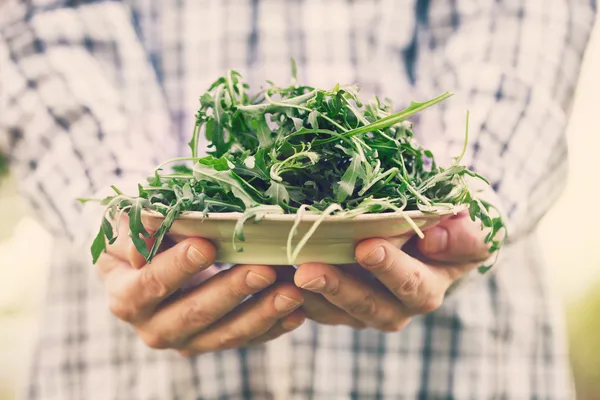 Rucola — Stockfoto