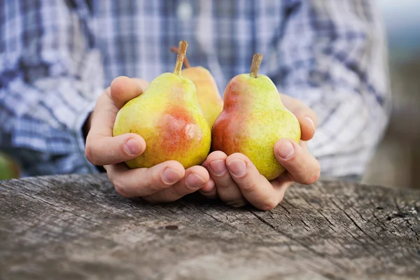 Fresh pear — Stock Photo, Image