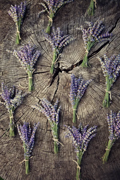 Lavendel — Stockfoto