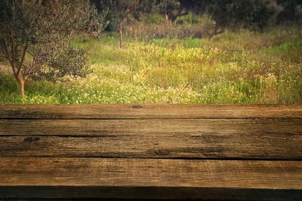 Olijfboomgaard met houten tafel — Stockfoto