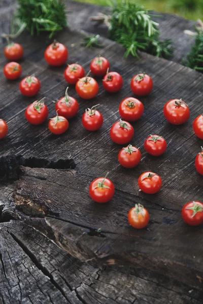 Tomates frescos —  Fotos de Stock