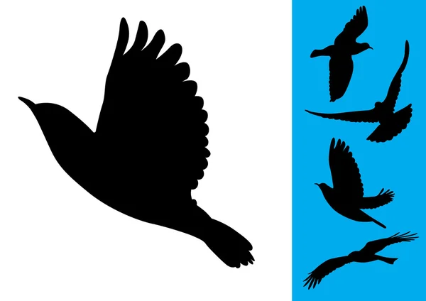 Птицы в полете - векторные иллюстрации — стоковый вектор