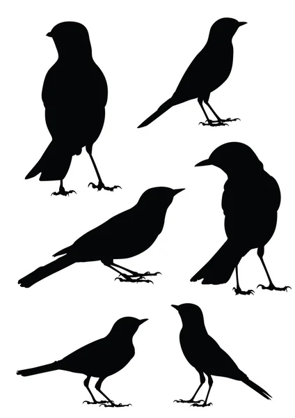 Silueta de aves - 6 ilustraciones vectoriales diferentes — Archivo Imágenes Vectoriales