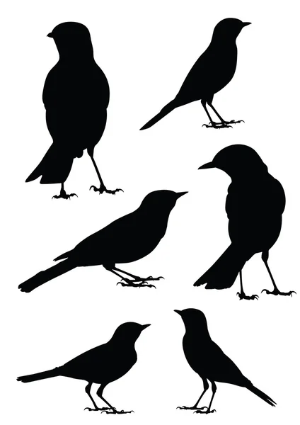 Siluety ptáků - 6 různé vektorové ilustrace — Stockový vektor