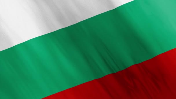 Animated Bulgaria Flag Waving Wind — Vídeo de stock