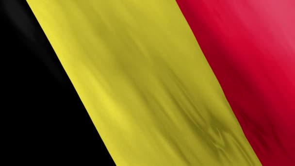 Animated Belgium Flag Waving Wind — Stockvideo