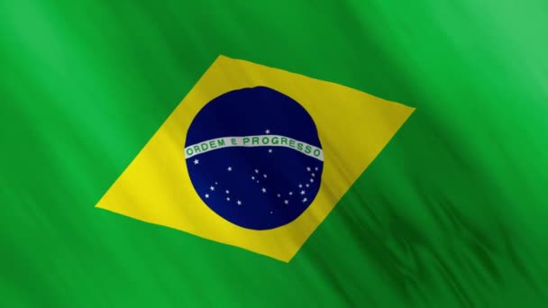 Bandera Brasil Animada Ondeando Viento — Vídeos de Stock