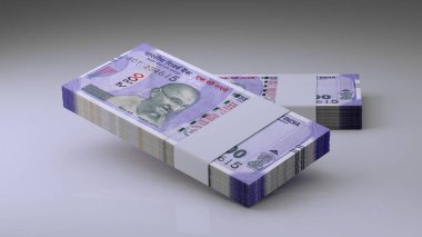 Hint Rupisi 100 Para Birimi Defteri - 3D Görüntü