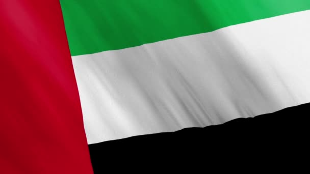 Animated United Arab Emirates Flag Waving Wind — Stock Video