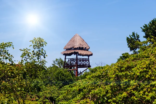 Torre di sorveglianza nella foresta caraibica — Foto Stock