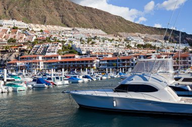 Puerto de santiago liman, tenerife