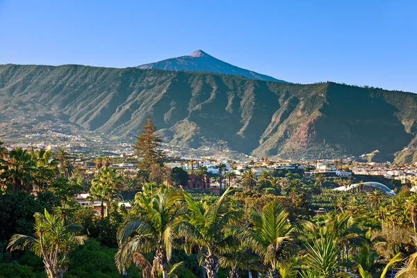 Pico del Teide desde Puerto de la Cruz — Foto de Stock