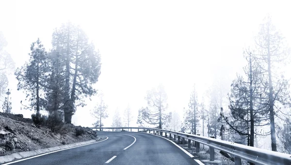 冬霧の曲がりくねった道 — ストック写真
