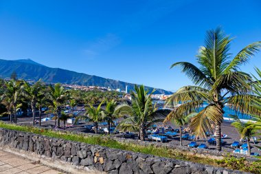 puerto de la Cruz'da, tenerife Playa jardin ve teide tepe