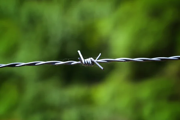 Verstrickung mit Stacheldraht — Stockfoto