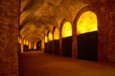 antika şarap mahzeni