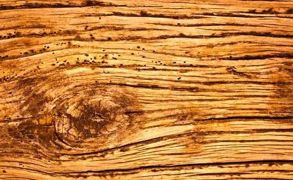 Grunge Rotten Wood Background — Stock Photo, Image