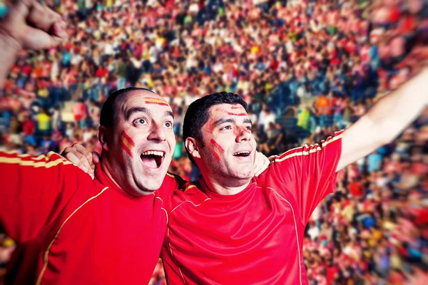 Fotbaloví fanoušci sledovat zápas — Stock fotografie